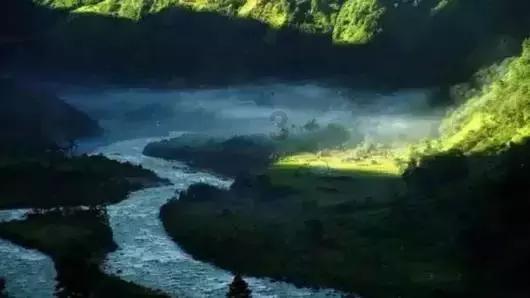 探探猫历险记2
